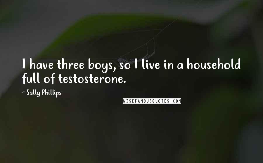 Sally Phillips Quotes: I have three boys, so I live in a household full of testosterone.