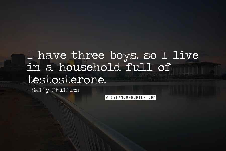 Sally Phillips Quotes: I have three boys, so I live in a household full of testosterone.