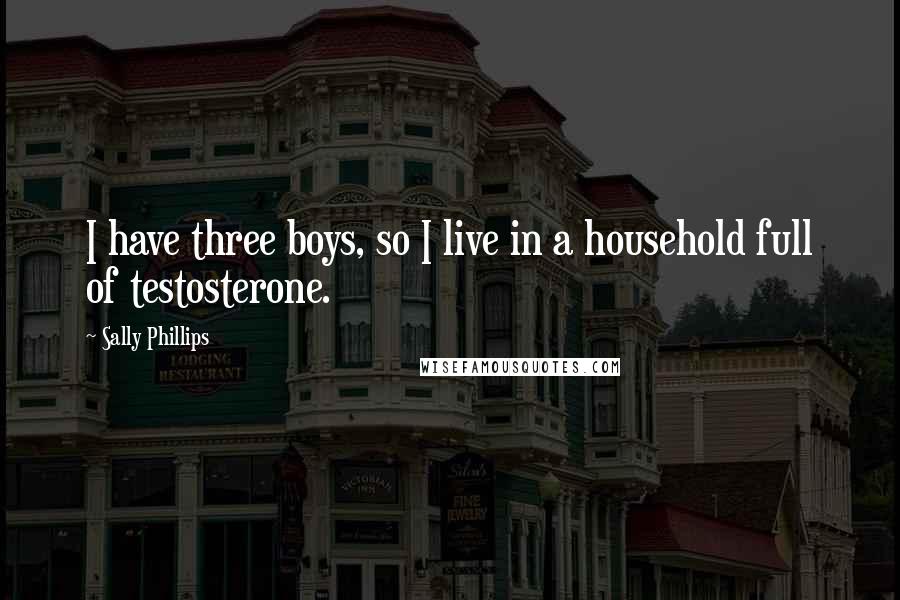 Sally Phillips Quotes: I have three boys, so I live in a household full of testosterone.