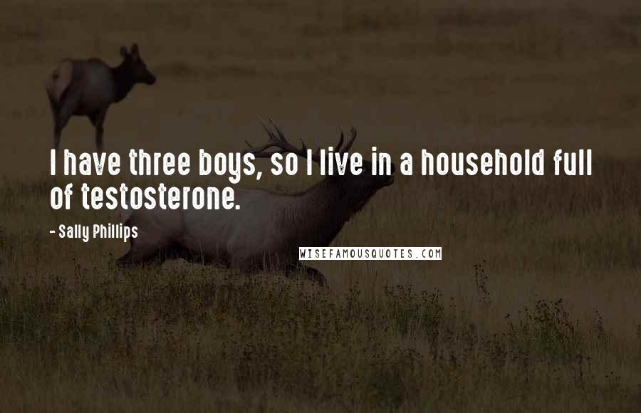 Sally Phillips Quotes: I have three boys, so I live in a household full of testosterone.