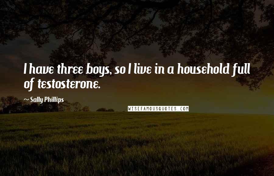 Sally Phillips Quotes: I have three boys, so I live in a household full of testosterone.