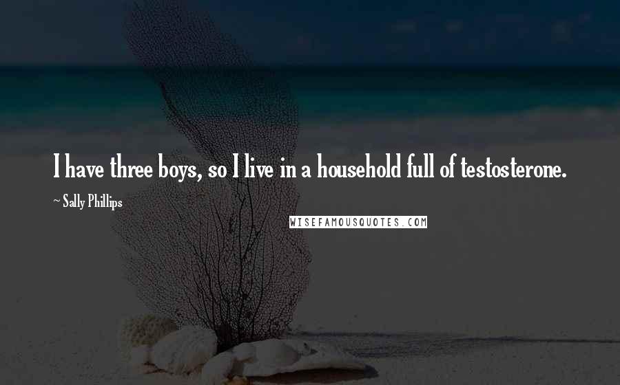 Sally Phillips Quotes: I have three boys, so I live in a household full of testosterone.