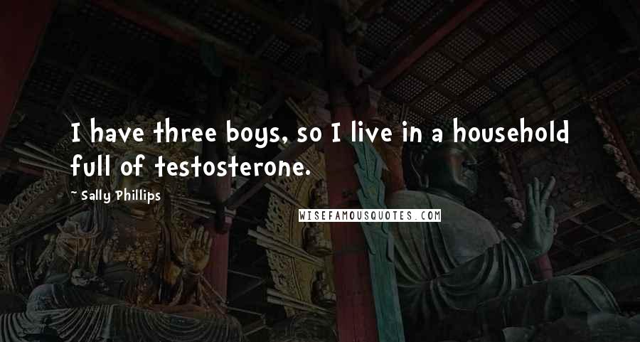 Sally Phillips Quotes: I have three boys, so I live in a household full of testosterone.