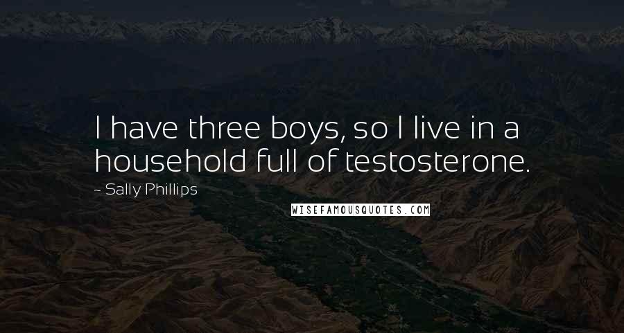 Sally Phillips Quotes: I have three boys, so I live in a household full of testosterone.