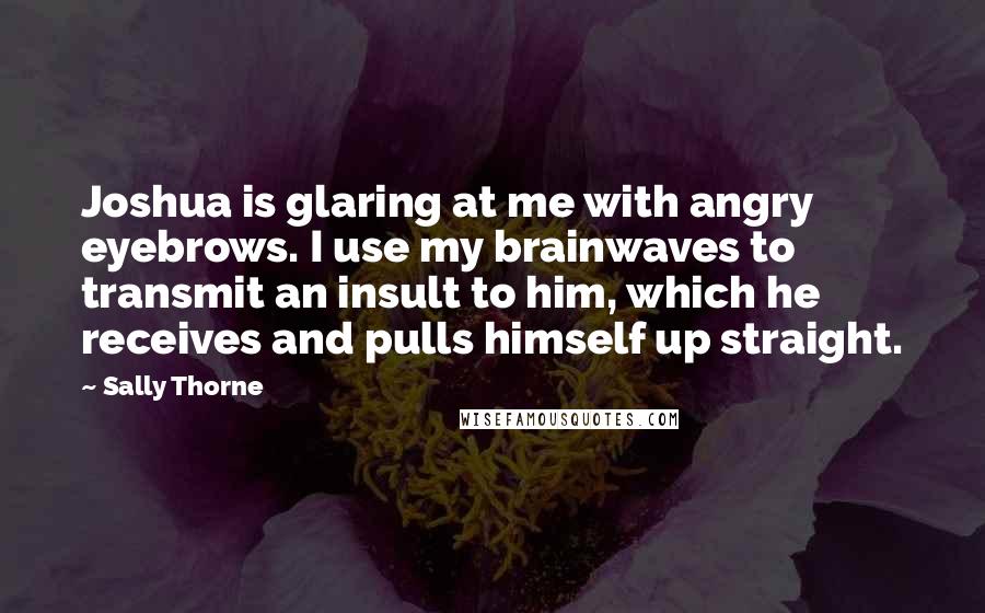 Sally Thorne Quotes: Joshua is glaring at me with angry eyebrows. I use my brainwaves to transmit an insult to him, which he receives and pulls himself up straight.