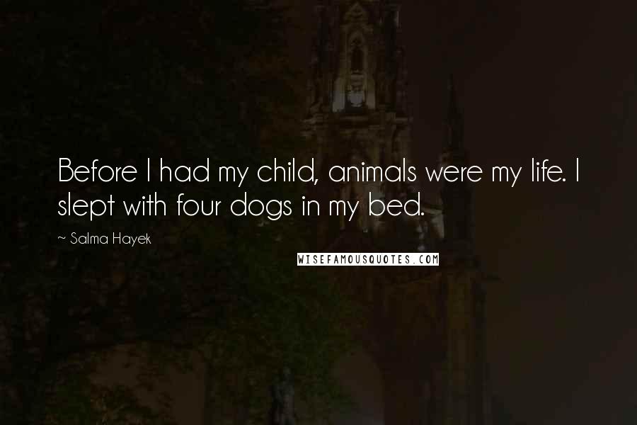 Salma Hayek Quotes: Before I had my child, animals were my life. I slept with four dogs in my bed.