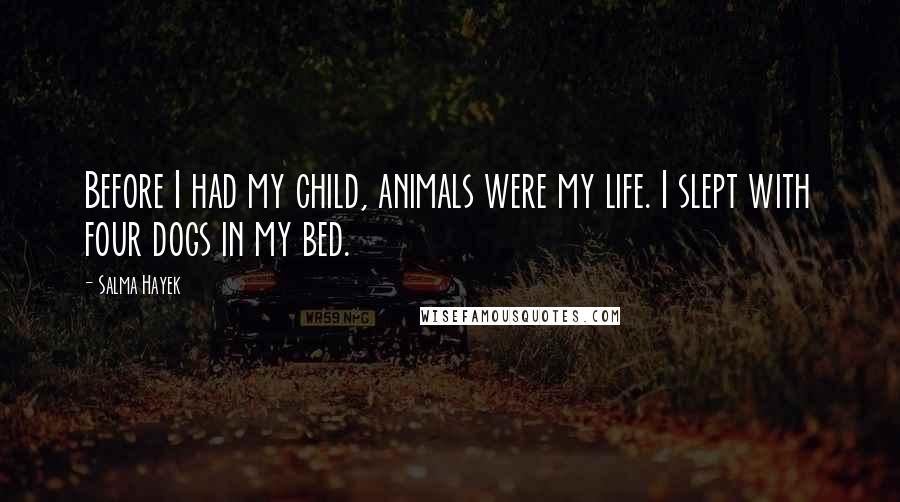Salma Hayek Quotes: Before I had my child, animals were my life. I slept with four dogs in my bed.