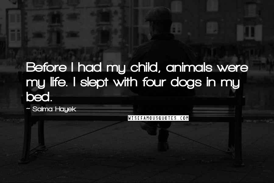 Salma Hayek Quotes: Before I had my child, animals were my life. I slept with four dogs in my bed.