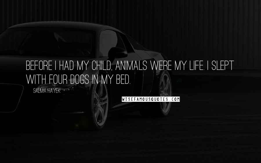 Salma Hayek Quotes: Before I had my child, animals were my life. I slept with four dogs in my bed.