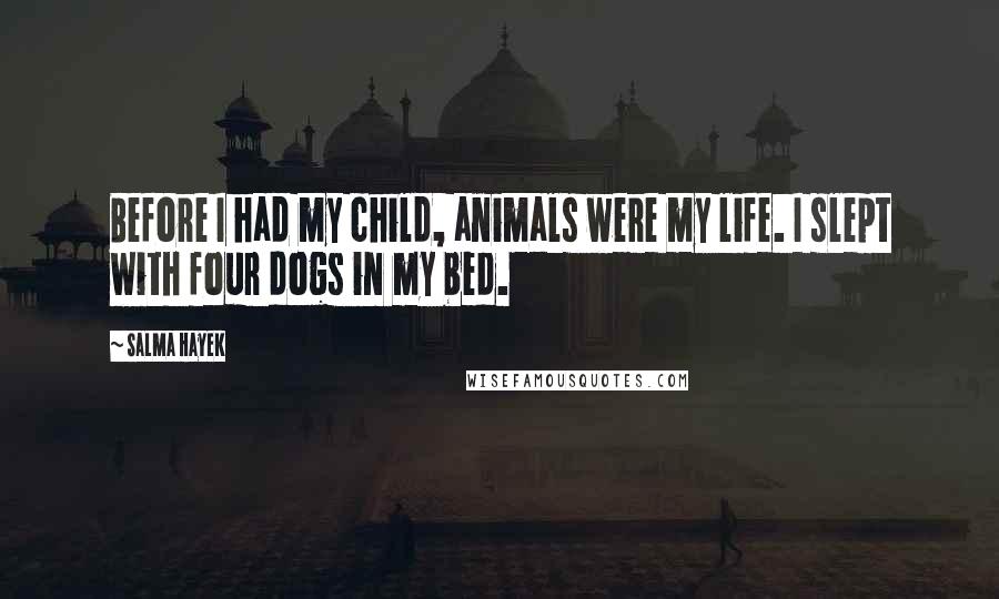 Salma Hayek Quotes: Before I had my child, animals were my life. I slept with four dogs in my bed.