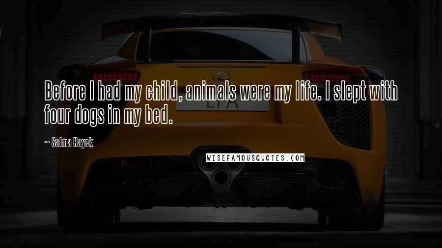 Salma Hayek Quotes: Before I had my child, animals were my life. I slept with four dogs in my bed.
