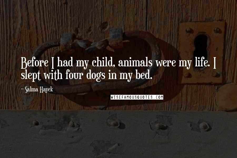 Salma Hayek Quotes: Before I had my child, animals were my life. I slept with four dogs in my bed.