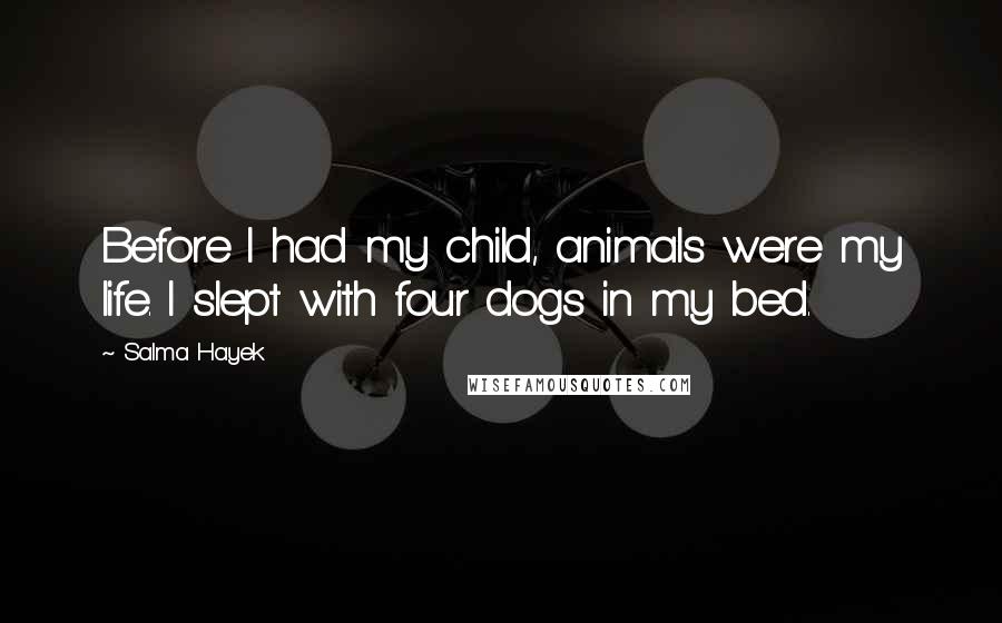 Salma Hayek Quotes: Before I had my child, animals were my life. I slept with four dogs in my bed.