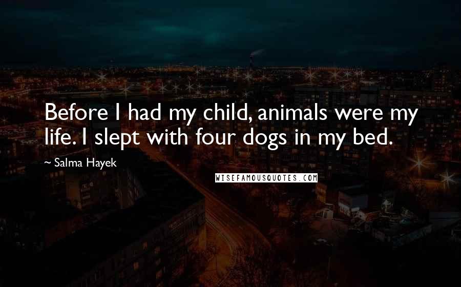 Salma Hayek Quotes: Before I had my child, animals were my life. I slept with four dogs in my bed.
