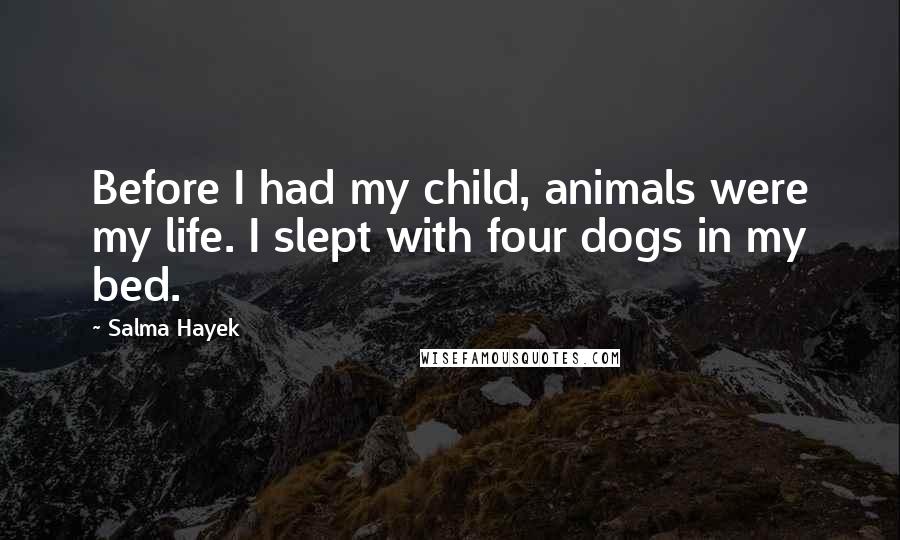 Salma Hayek Quotes: Before I had my child, animals were my life. I slept with four dogs in my bed.