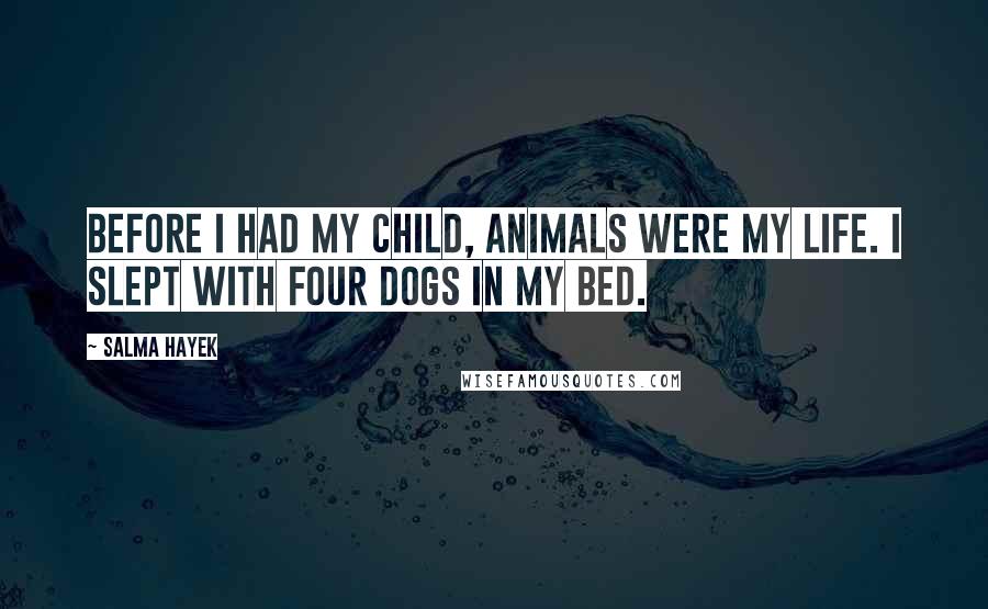 Salma Hayek Quotes: Before I had my child, animals were my life. I slept with four dogs in my bed.