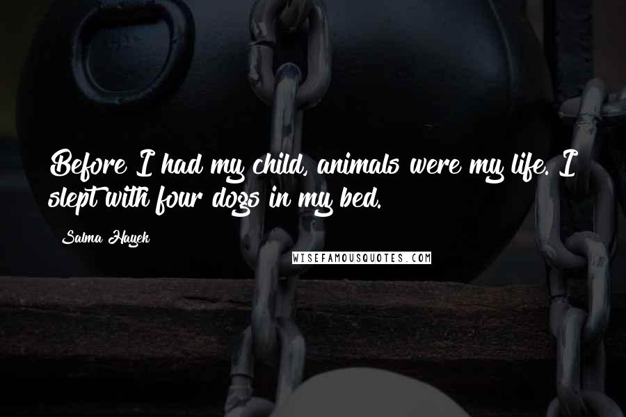 Salma Hayek Quotes: Before I had my child, animals were my life. I slept with four dogs in my bed.