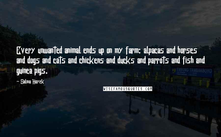 Salma Hayek Quotes: Every unwanted animal ends up on my farm: alpacas and horses and dogs and cats and chickens and ducks and parrots and fish and guinea pigs.