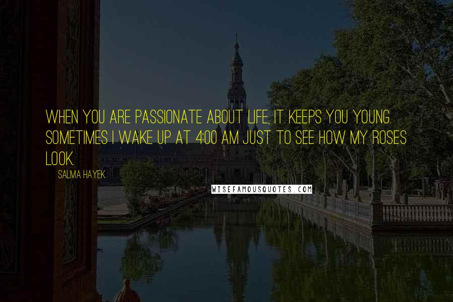 Salma Hayek Quotes: When you are passionate about life, it keeps you young. Sometimes I wake up at 4:00 am just to see how my roses look.