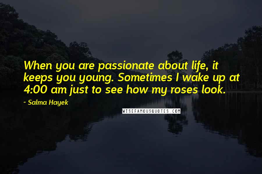 Salma Hayek Quotes: When you are passionate about life, it keeps you young. Sometimes I wake up at 4:00 am just to see how my roses look.