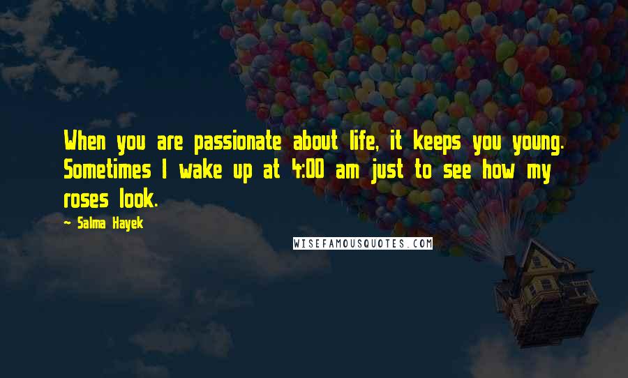 Salma Hayek Quotes: When you are passionate about life, it keeps you young. Sometimes I wake up at 4:00 am just to see how my roses look.