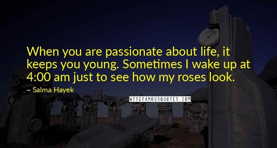 Salma Hayek Quotes: When you are passionate about life, it keeps you young. Sometimes I wake up at 4:00 am just to see how my roses look.