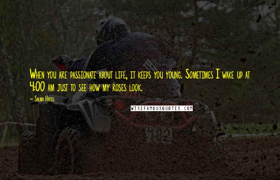 Salma Hayek Quotes: When you are passionate about life, it keeps you young. Sometimes I wake up at 4:00 am just to see how my roses look.