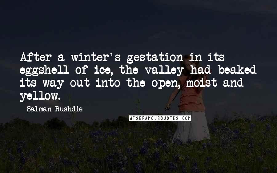 Salman Rushdie Quotes: After a winter's gestation in its eggshell of ice, the valley had beaked its way out into the open, moist and yellow.