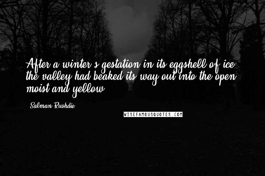 Salman Rushdie Quotes: After a winter's gestation in its eggshell of ice, the valley had beaked its way out into the open, moist and yellow.