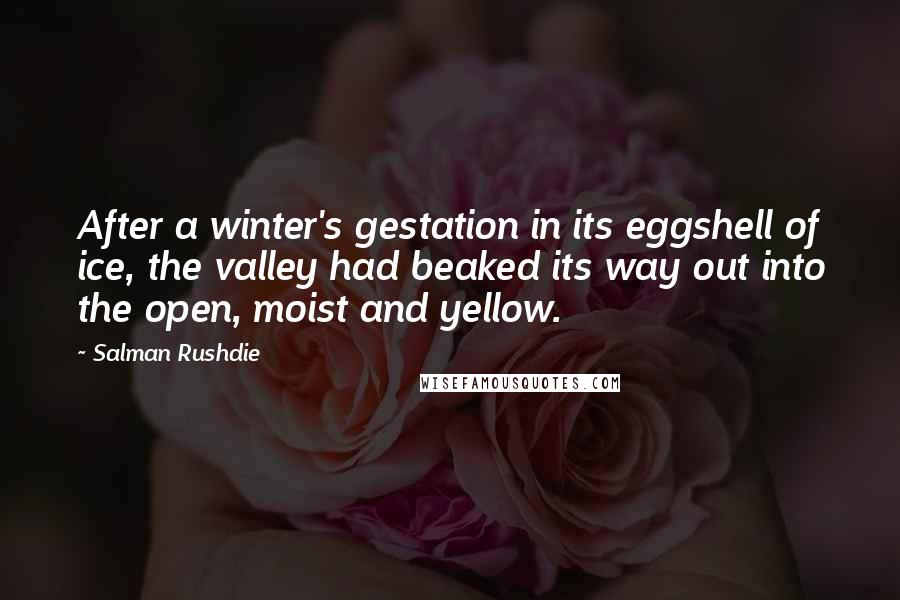 Salman Rushdie Quotes: After a winter's gestation in its eggshell of ice, the valley had beaked its way out into the open, moist and yellow.