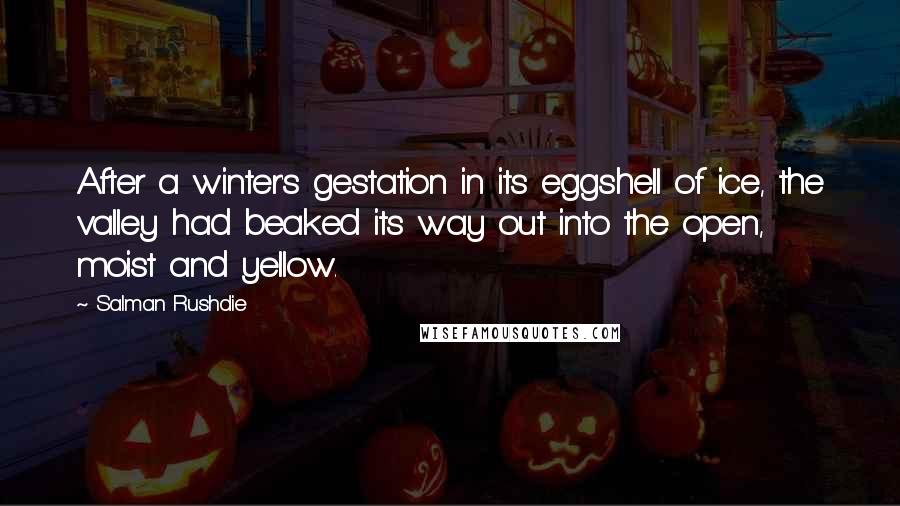 Salman Rushdie Quotes: After a winter's gestation in its eggshell of ice, the valley had beaked its way out into the open, moist and yellow.