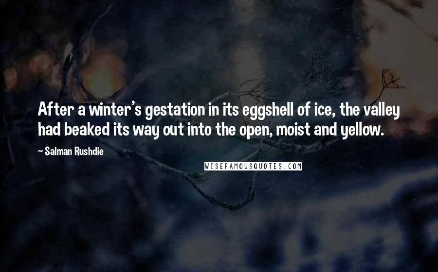 Salman Rushdie Quotes: After a winter's gestation in its eggshell of ice, the valley had beaked its way out into the open, moist and yellow.