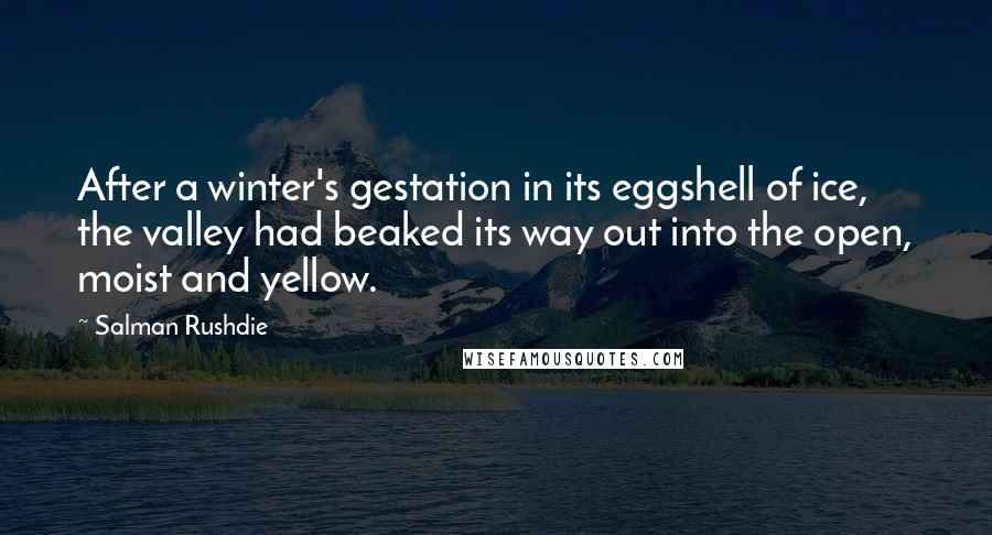 Salman Rushdie Quotes: After a winter's gestation in its eggshell of ice, the valley had beaked its way out into the open, moist and yellow.