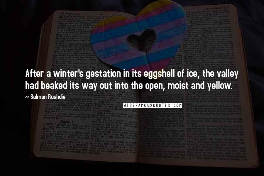 Salman Rushdie Quotes: After a winter's gestation in its eggshell of ice, the valley had beaked its way out into the open, moist and yellow.