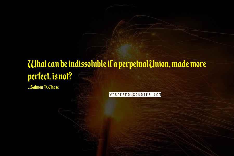 Salmon P. Chase Quotes: What can be indissoluble if a perpetual Union, made more perfect, is not?