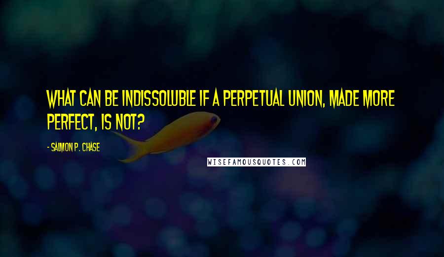 Salmon P. Chase Quotes: What can be indissoluble if a perpetual Union, made more perfect, is not?