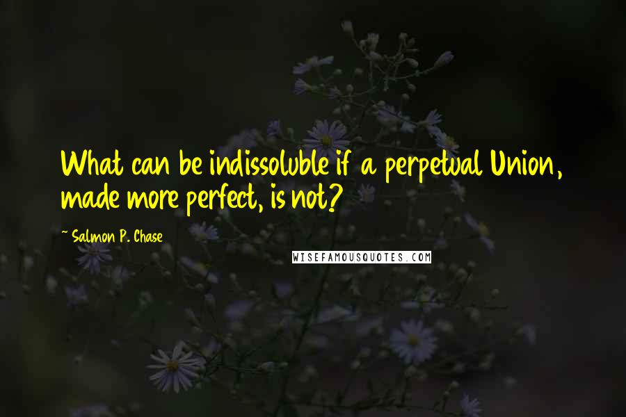 Salmon P. Chase Quotes: What can be indissoluble if a perpetual Union, made more perfect, is not?