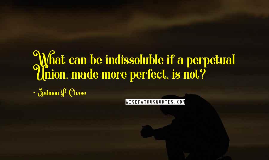 Salmon P. Chase Quotes: What can be indissoluble if a perpetual Union, made more perfect, is not?