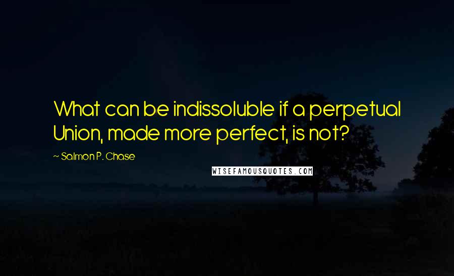Salmon P. Chase Quotes: What can be indissoluble if a perpetual Union, made more perfect, is not?