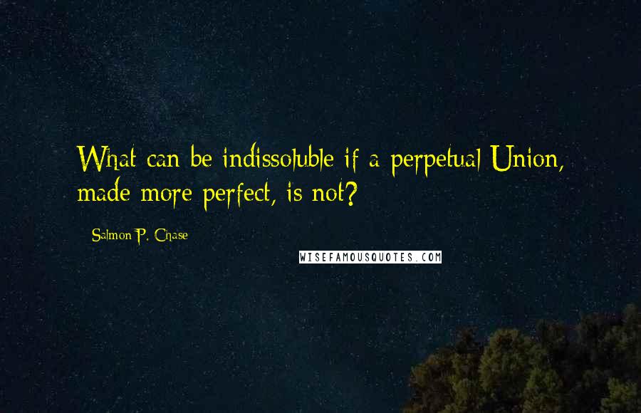 Salmon P. Chase Quotes: What can be indissoluble if a perpetual Union, made more perfect, is not?