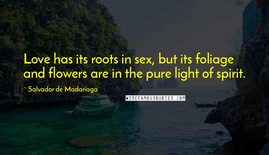 Salvador De Madariaga Quotes: Love has its roots in sex, but its foliage and flowers are in the pure light of spirit.