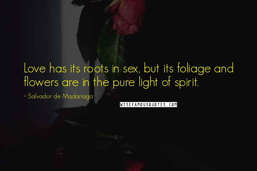 Salvador De Madariaga Quotes: Love has its roots in sex, but its foliage and flowers are in the pure light of spirit.