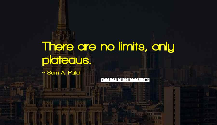 Sam A. Patel Quotes: There are no limits, only plateaus.