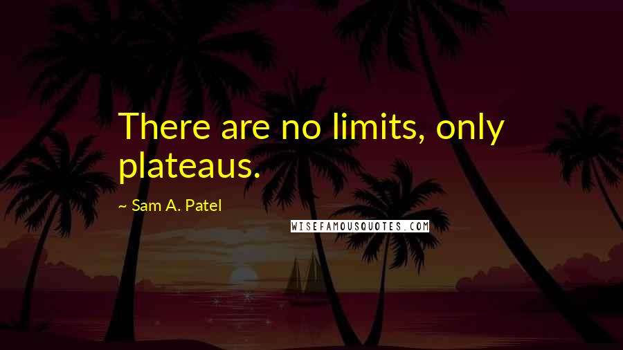 Sam A. Patel Quotes: There are no limits, only plateaus.