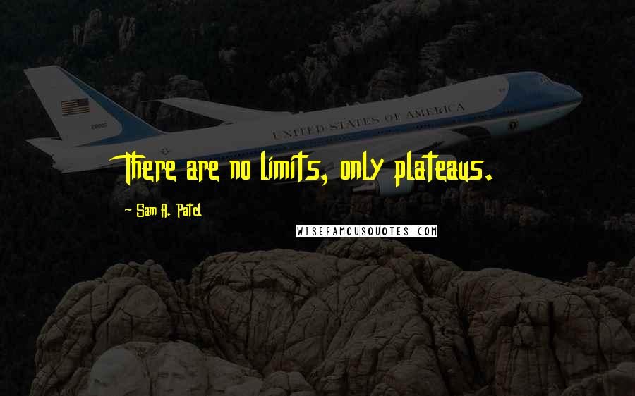 Sam A. Patel Quotes: There are no limits, only plateaus.