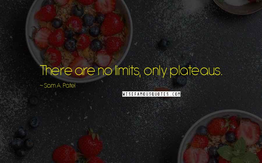 Sam A. Patel Quotes: There are no limits, only plateaus.
