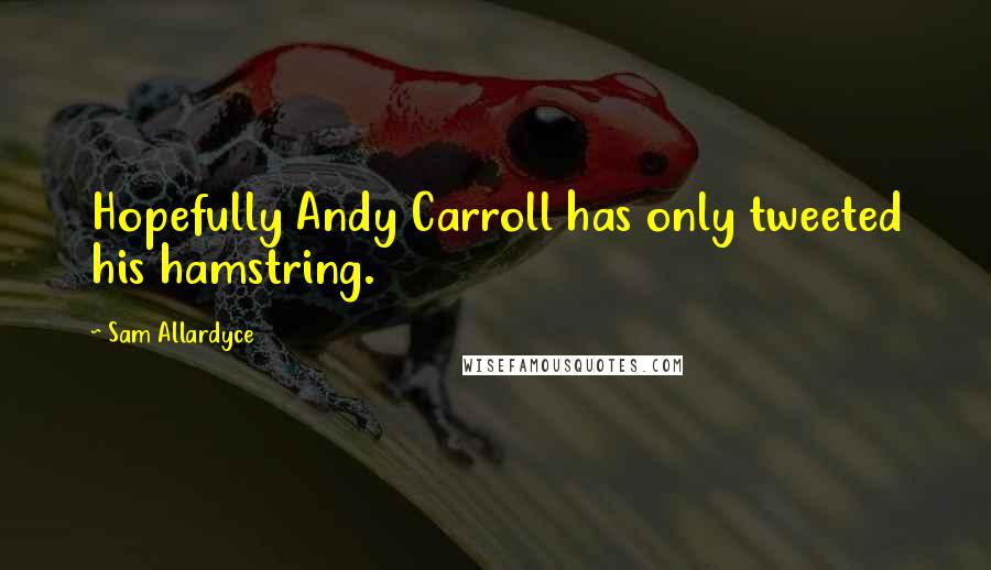 Sam Allardyce Quotes: Hopefully Andy Carroll has only tweeted his hamstring.