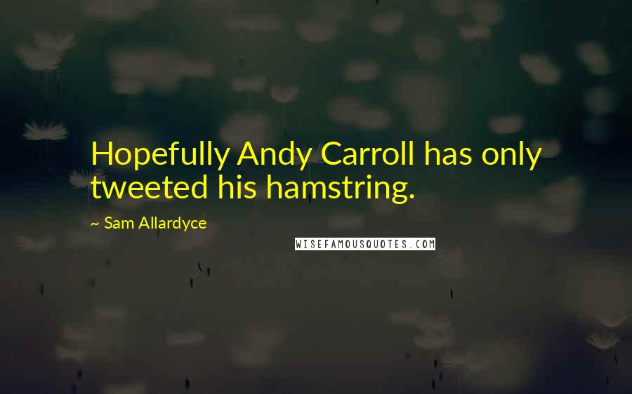 Sam Allardyce Quotes: Hopefully Andy Carroll has only tweeted his hamstring.