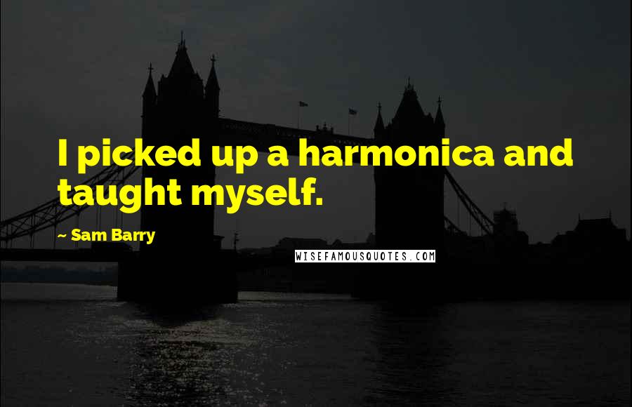 Sam Barry Quotes: I picked up a harmonica and taught myself.