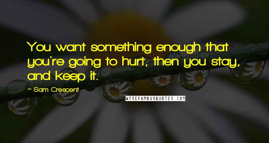 Sam Crescent Quotes: You want something enough that you're going to hurt, then you stay, and keep it.